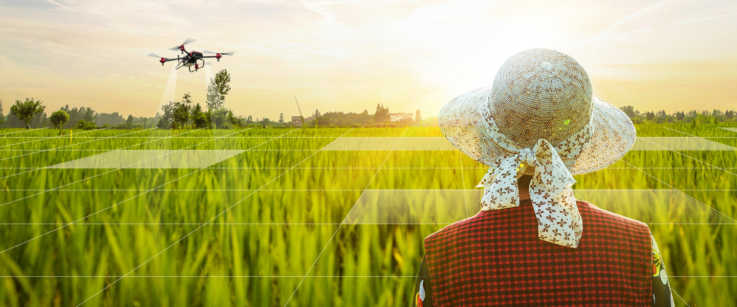 服務(wù)其他/新農(nóng)人