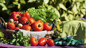 安徽省部署推動有機農業發展