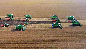 2020年黑龍江省糧食生產再奪豐收 實現“十七連豐”