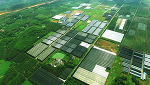 甘肅力爭5年打造10個百億元級現代農業產業園