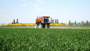 重慶市戰“三夏”及秋糧生產農技行動取得明顯成效