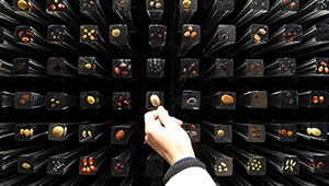 隴西:全力打造西部最大中草藥種質(zhì)資源庫