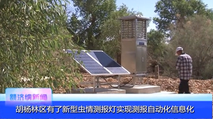 胡楊林區有了新型蟲情測報燈實現測報自動化