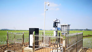 穩糧保產，智守農田 | 托普云農開燈巡檢行動打響“糧食保衛戰”