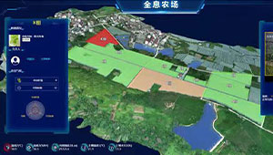 一串葡萄的“數字秘密”生長記，浦江超級農場的數字秘密！