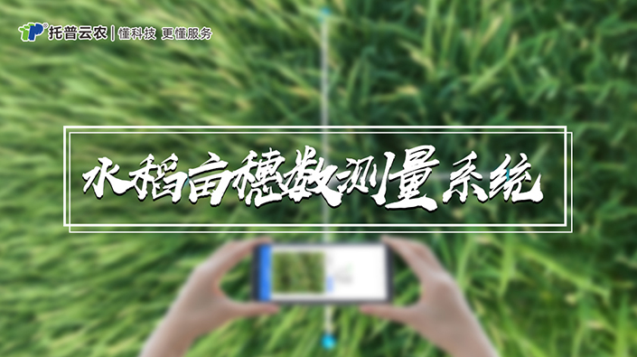 水稻畝穗數(shù)測(cè)量系統(tǒng)