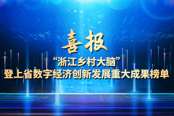 省數字經濟創新發展重大成果榜單：浙江鄉村大腦入選