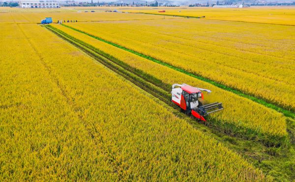 案例分享|托普在高標(biāo)準(zhǔn)農(nóng)田建設(shè)上都做了什么？