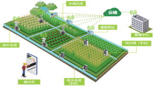 建設高標準農田，促進農業綠色高效發展