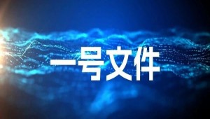 首提“農業新質生產力”，2025年中央一號文件在智慧農業領域傳遞了哪些重要信號？