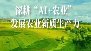 農業人工智能受關注！國務院研究室農村司副司長楊春悅一行蒞臨托普云農考察調研