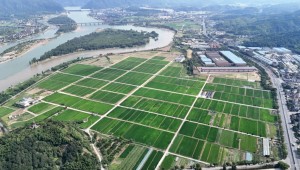 屏幕種田、數(shù)據(jù)施肥，看托普如何助力桐廬繪就共富新畫卷