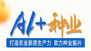 托普云農以AI賦能全產業鏈，為種業振興注入“芯”動力